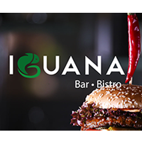 iguana